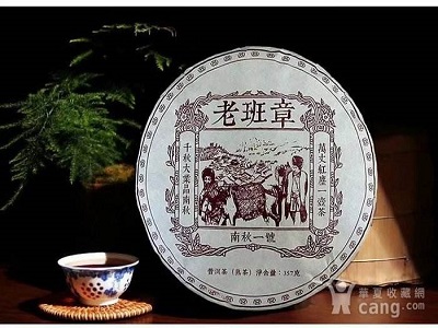 茶农茶园地直接采摘，现在开始接受预约